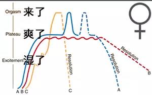 点进来共赴妹子的五种高潮