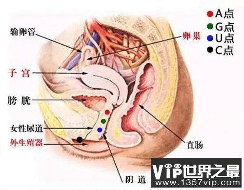 A点