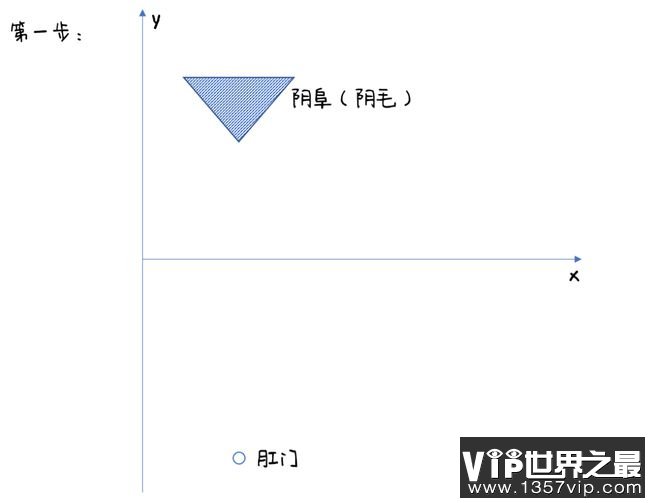 第二、三步