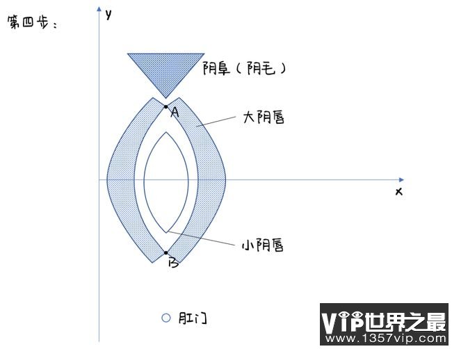 所以通常颜色较深