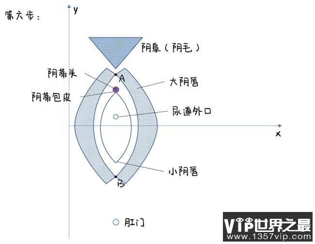 第六步