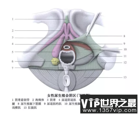 怎么让女人快速进入状态，更湿润呢