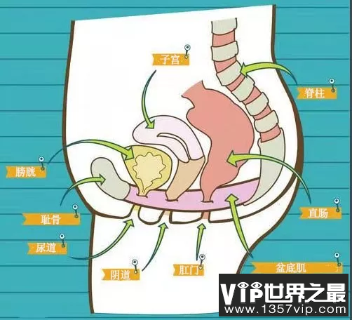 发挥它们的功能