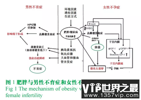 降低精子质量