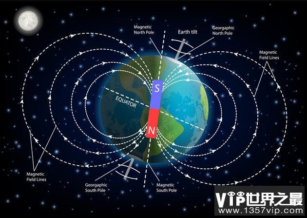 水里的动物是如何实现导航的