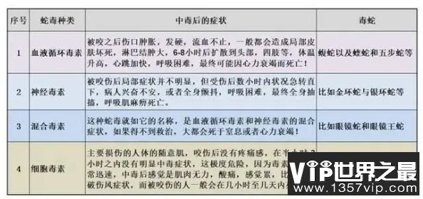 锯鳞蝰蛇毒性不强、体型不大，凭什么成为了杀人最多的毒蛇？