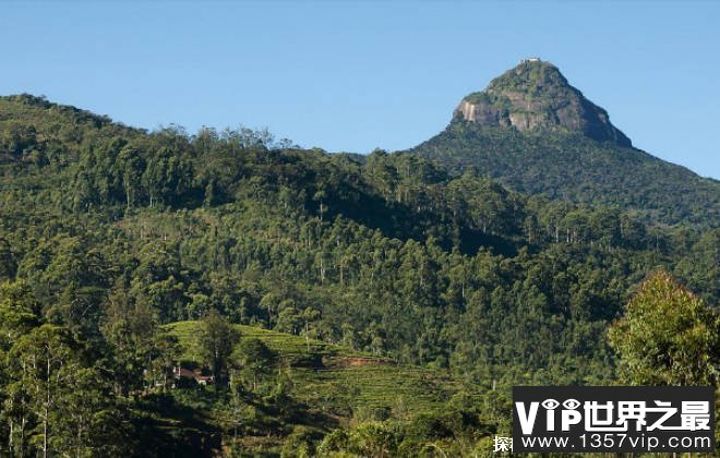 世界上十大净化心灵的旅游地 印度大金庙(具有宗教感)