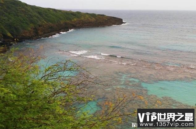 世界上年降水量最多的地方 夏威夷位于太平洋(全年有降雨)