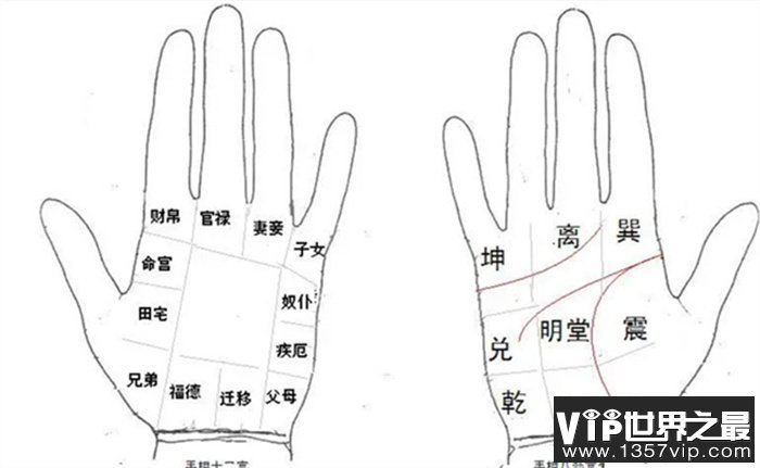 看手相算命五大主线、掌丘图解