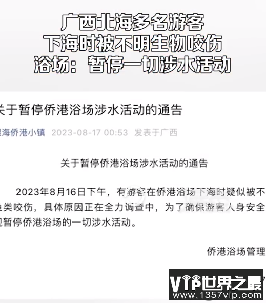 北海一浴场突发不明鱼类伤人事件是怎么回事 被不明鱼类咬伤了怎么办