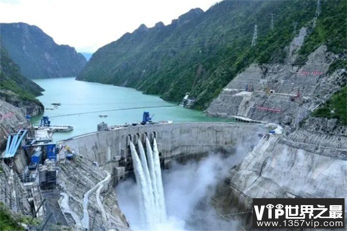 三峡水电站的水量如此强大，里面的鱼还能活吗？看完涨知识！