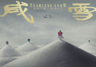 《咸雪》影视化备案 《咸雪》剧情梗概