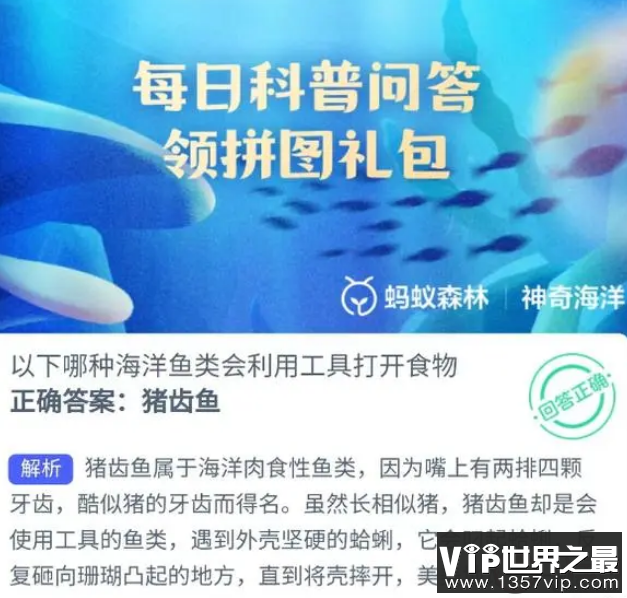 以下哪种海洋鱼类会利用工具打开食物 蚂蚁森林神奇海洋10月16日答案