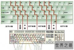 打字速度最快，这手速得多少年才能练出来