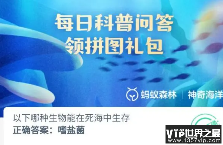 以下哪种生物能在死海中生存 神奇海洋11月22日答案