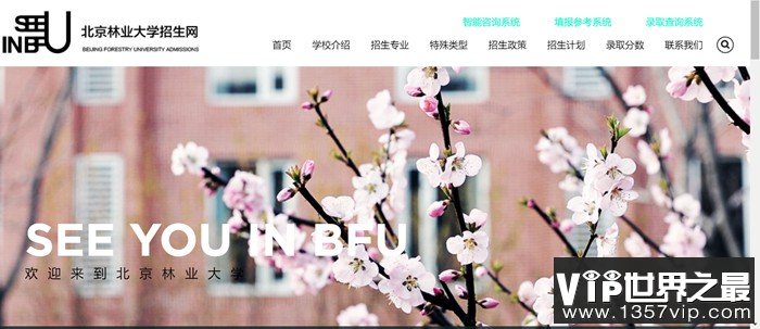 北京林业大学招生网入口（http://zsb.bjfu.edu.cn/）